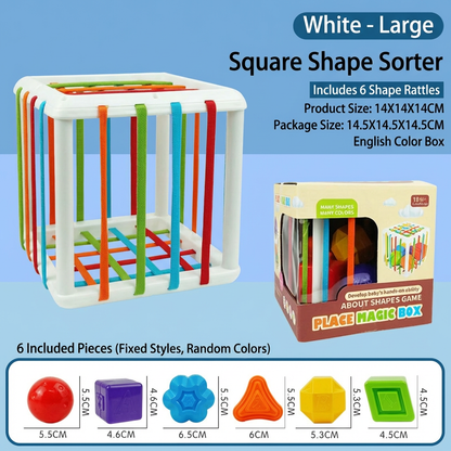 Montessori Shape Box – Sorting & Motor Skills Game